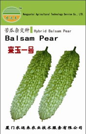 廈門農運來農業技術服務 農作物種子與種苗產品列表——水果種植篇